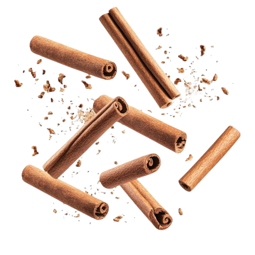 Alba Grade Cinnamon Sticks Cinnamon lands Sri Lanka farming cinnamon Ceylon cinnamon land. Alba Cinnamon from Sri Lanka benefit of Ceylon cinnamon, Ceylon cinnamon, amazon Ceylon cinnamon, Ceylon cinnamon at amazon, alba cinnamon sticks, cinnamon alba, Ceylon cinnamon alba, buy cinnamon, alba Ceylon cinnamon, Sri Lankan cinnamon, cinnamon advantages for health